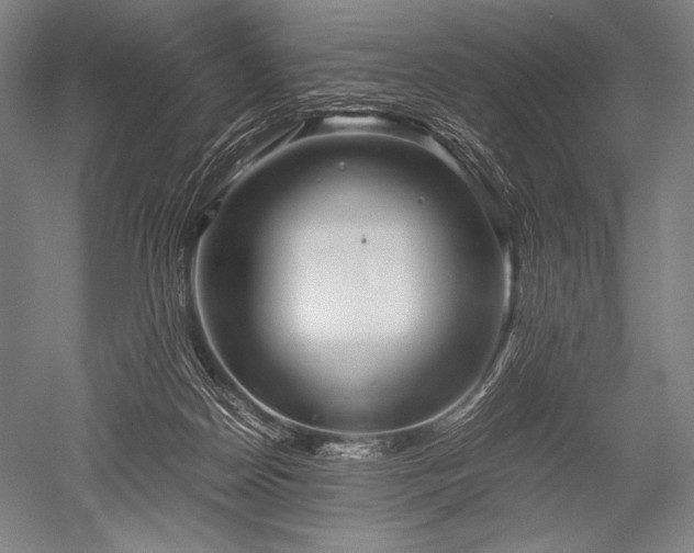 X0000052560170200507081645