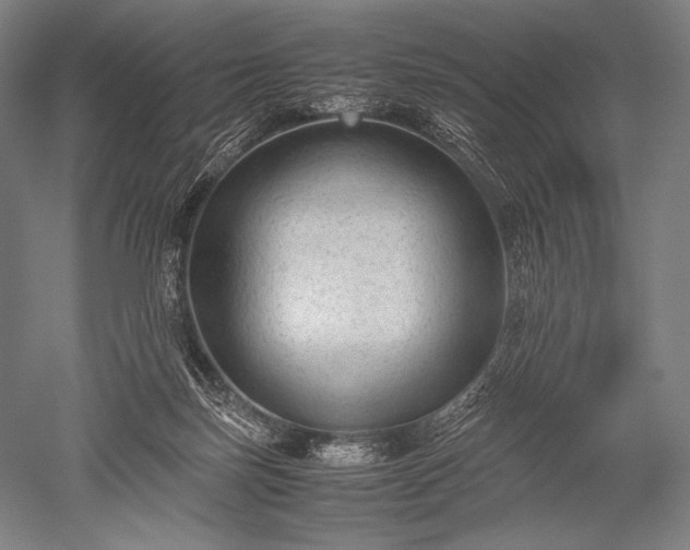 X0000052560171200507081645