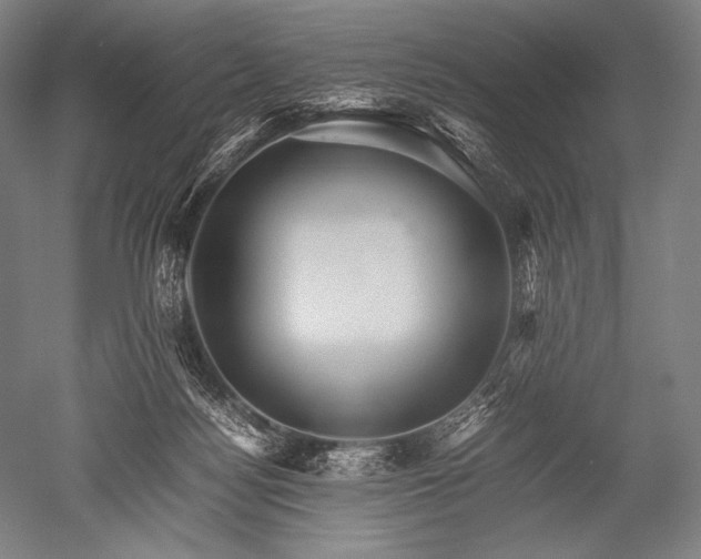 X0000052560172200507081645