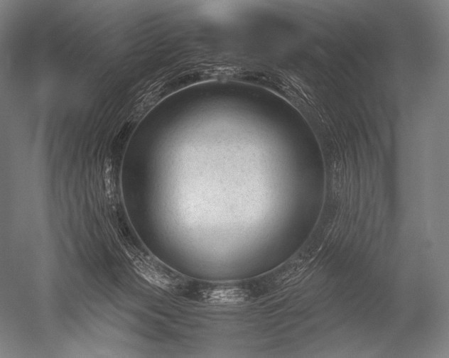 X0000052560173200507081645