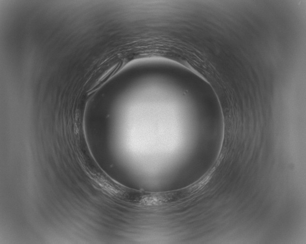 X0000052560174200507081645
