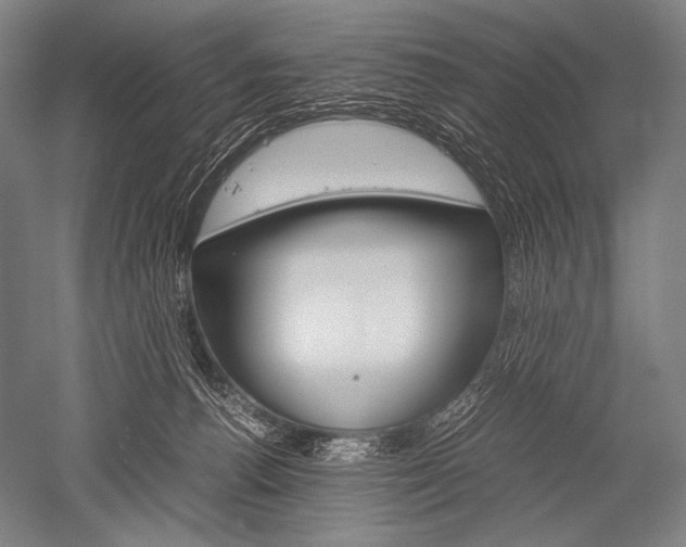 X0000052560176200507081645