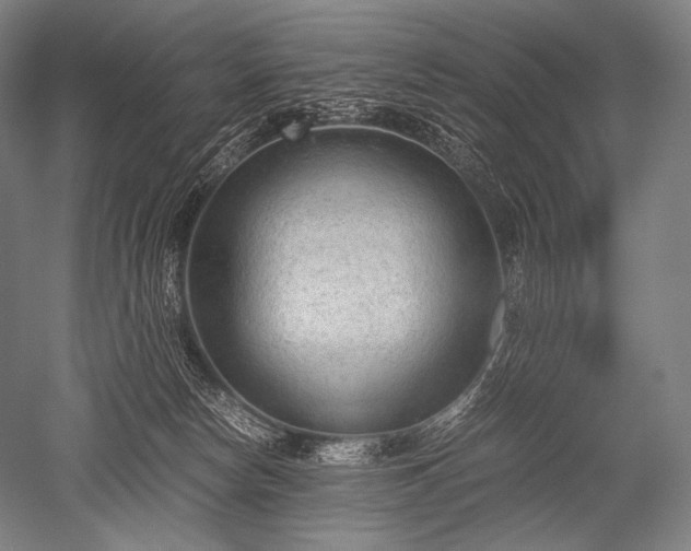 X0000052560178200507081645