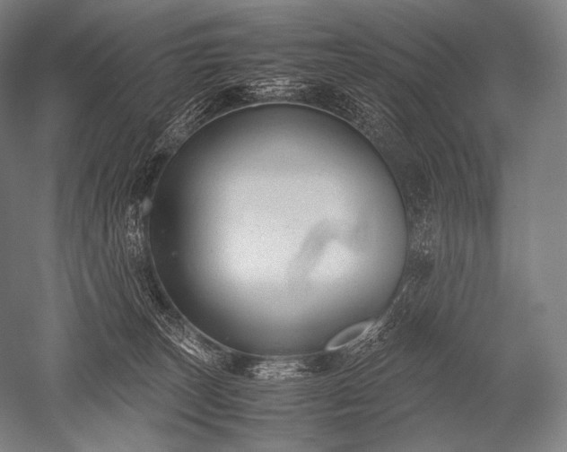 X0000052560179200507081645