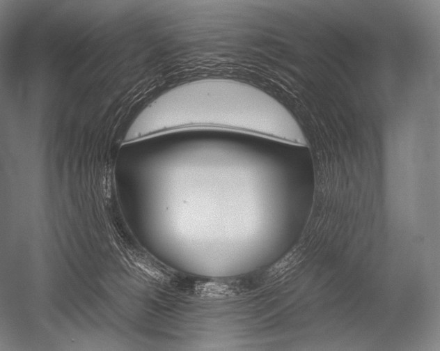X0000052560180200507081645