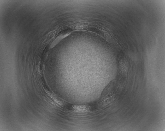 X0000052560181200507081645