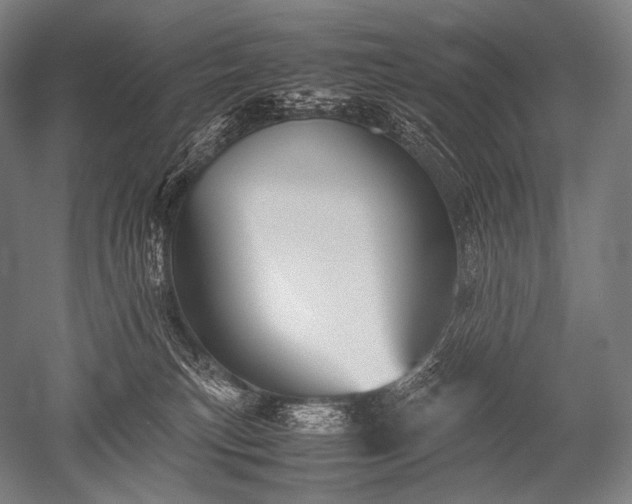 X0000052560183200507081645
