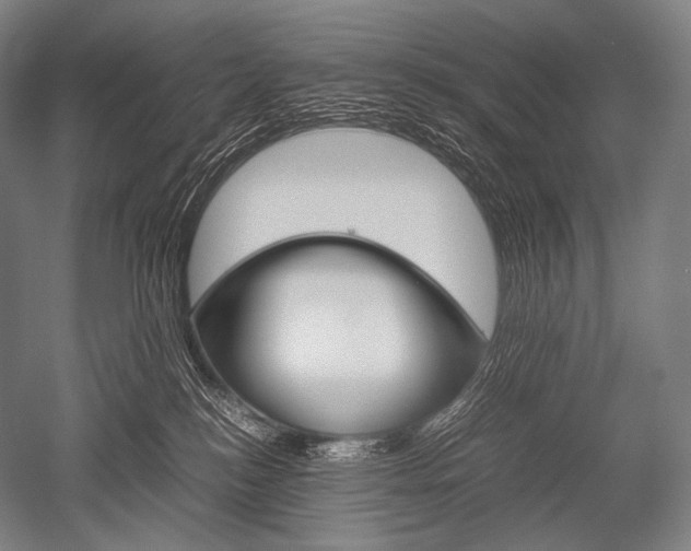 X0000052560184200507081645