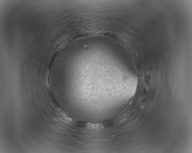 X0000052560185200507081645