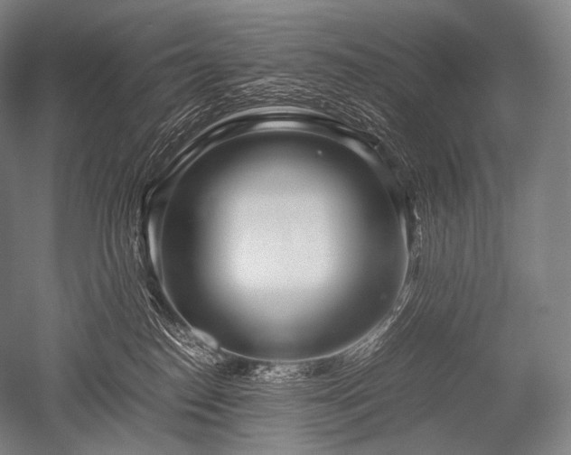 X0000052560186200507081645
