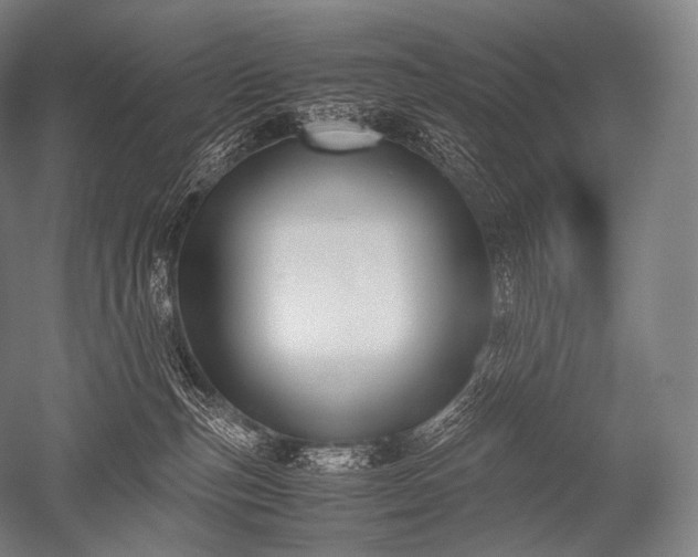 X0000052560187200507081645