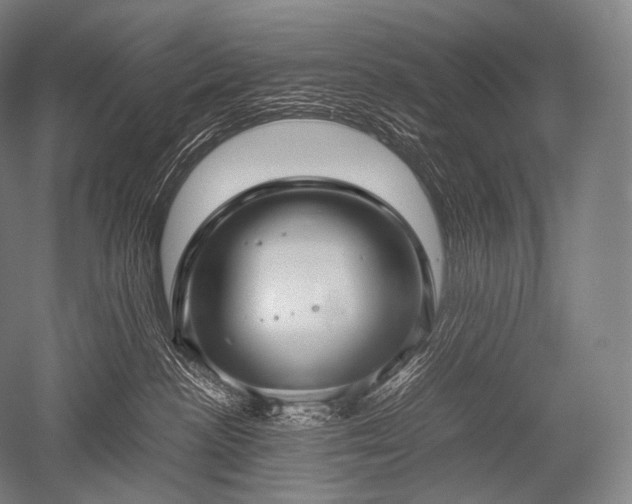 X0000052560188200507081645