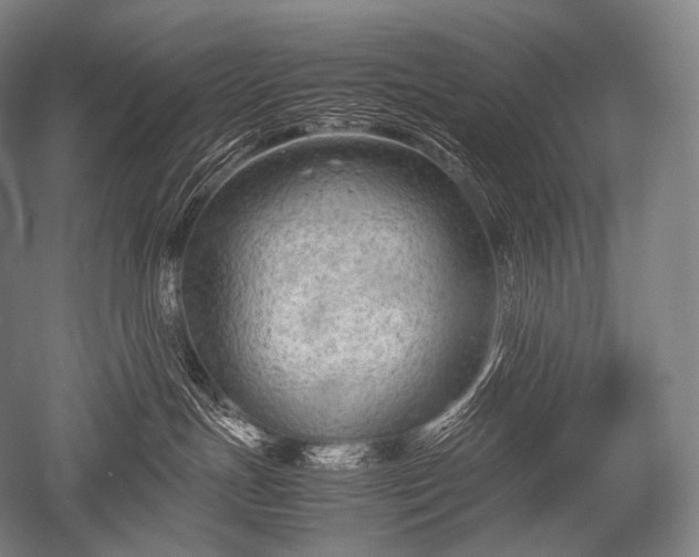 X0000052560191200507081645