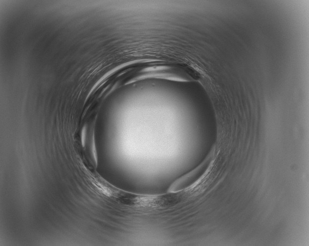 X0000052560192200507081645