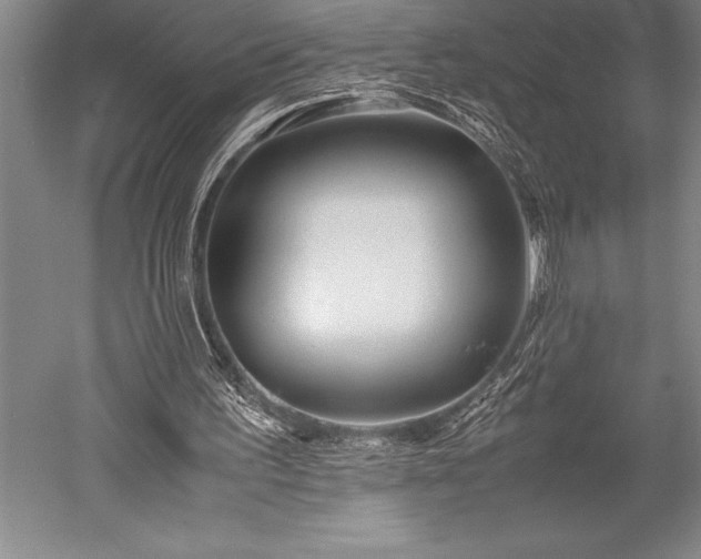 X0000052560195200507081644
