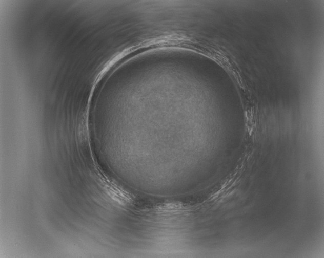X0000052560196200507081644