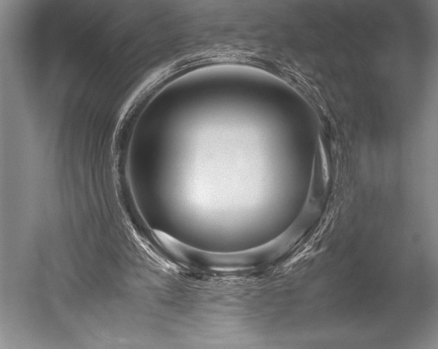 X0000052560197200507081644