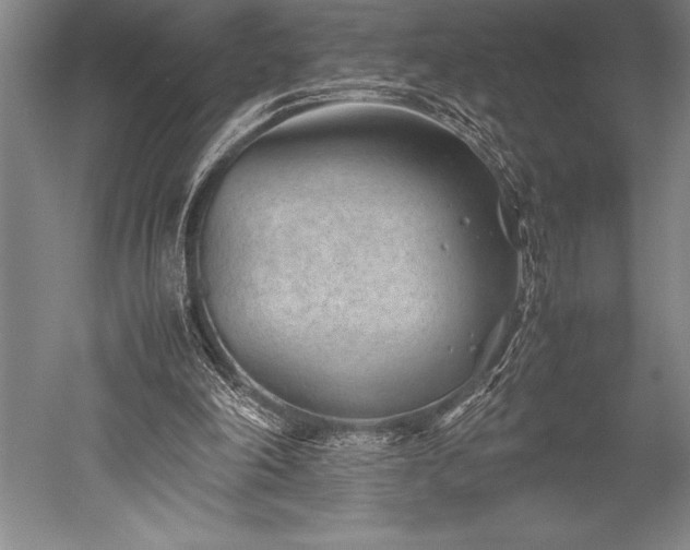 X0000052560198200507081644