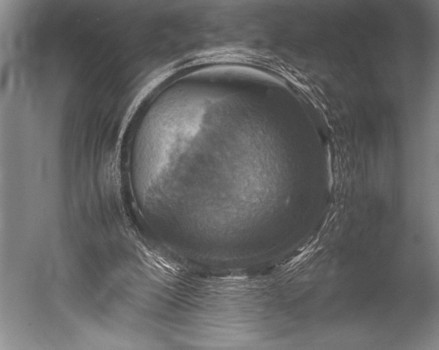 X0000052560200200507081644