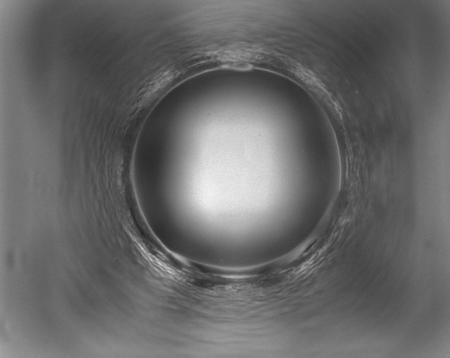 X0000052560201200507081644