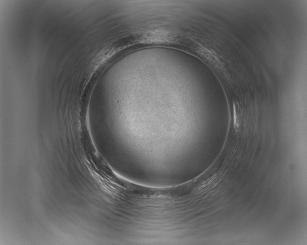 X0000052560204200507081644