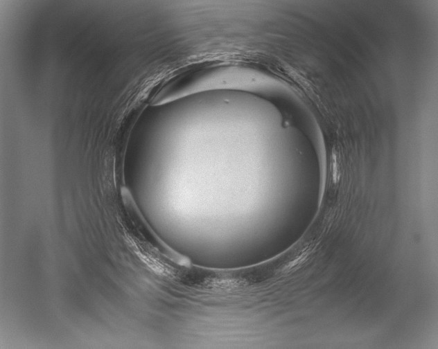 X0000052560205200507081644
