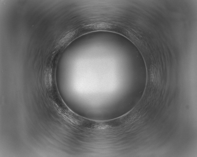 X0000052560206200507081644