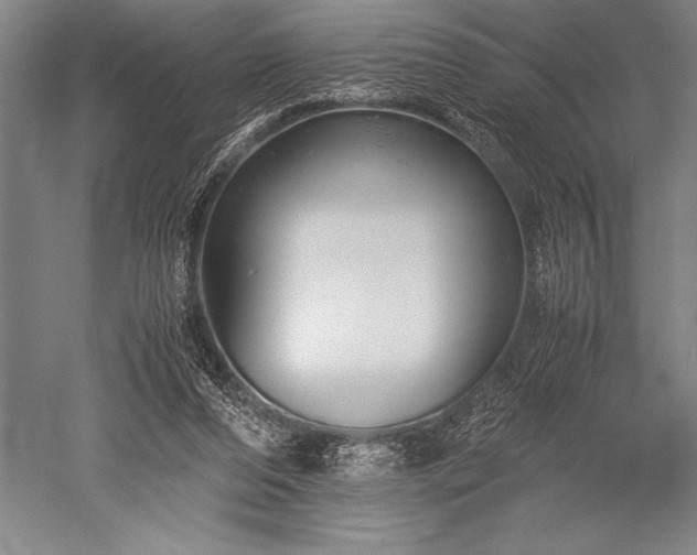 X0000052560208200507081644