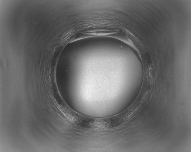 X0000052560209200507081644