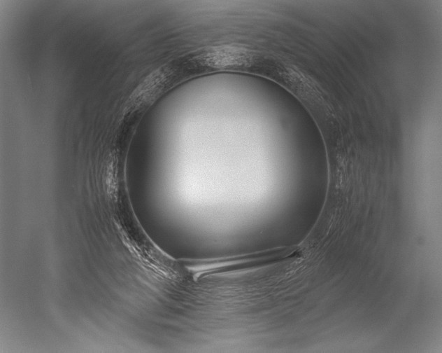 X0000052560210200507081644