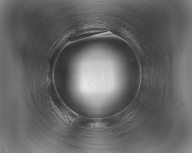 X0000052560212200507081644