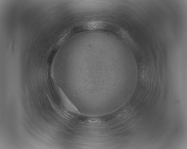 X0000052560214200507081644