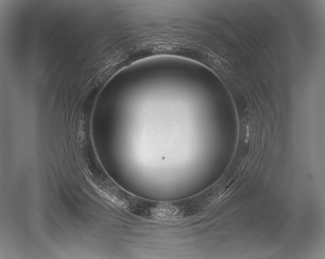 X0000052560215200507081644