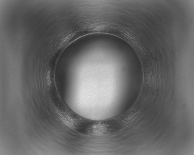X0000052560216200507081644