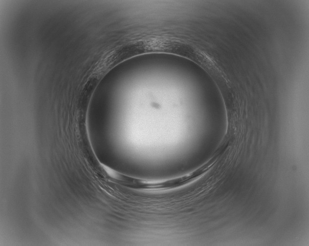 X0000052560217200507081644