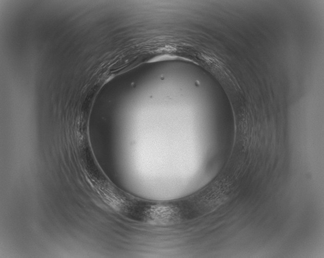 X0000052560218200507081644