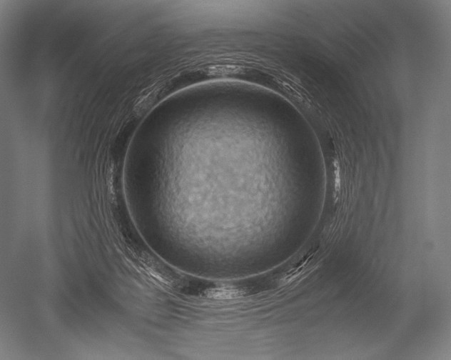 X0000052560219200507081644