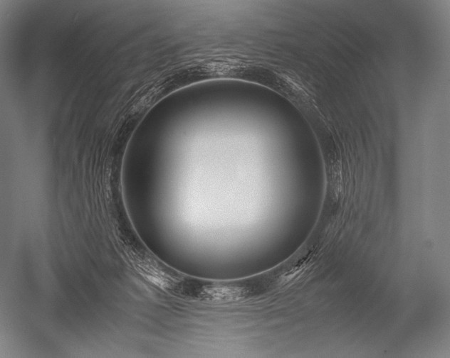 X0000052560221200507081644