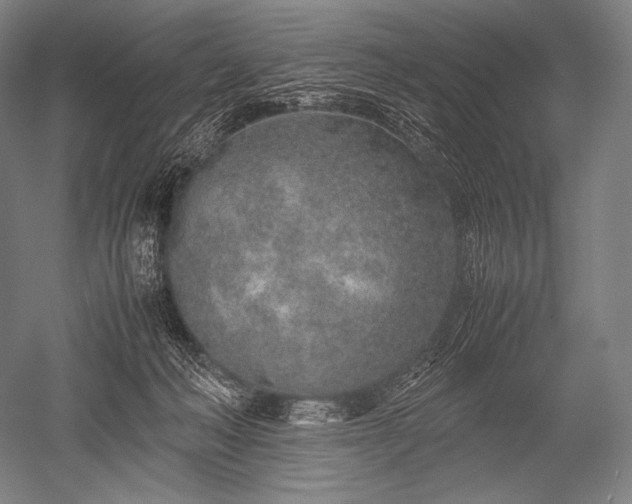 X0000052560222200507081644
