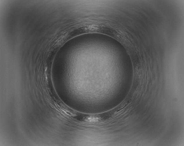 X0000052560223200507081644