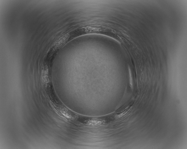 X0000052560224200507081644