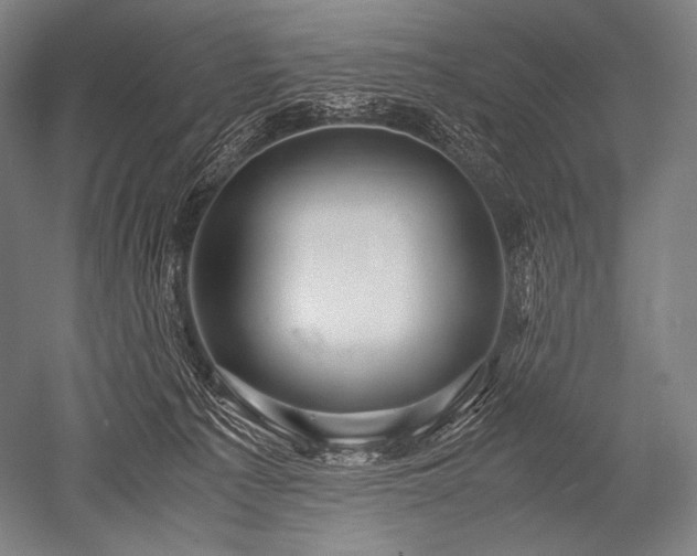 X0000052560225200507081644