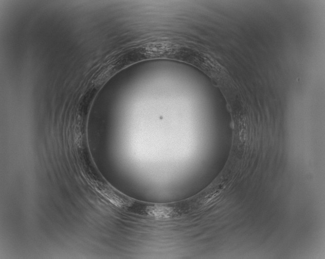 X0000052560226200507081644