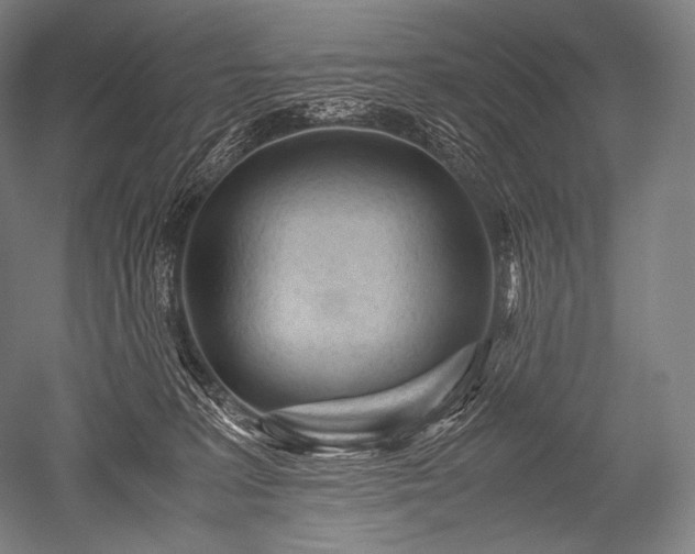 X0000052560227200507081644