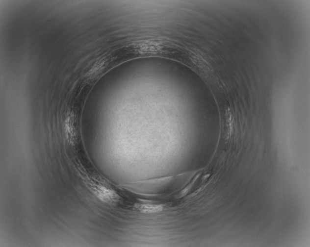 X0000052560228200507081644