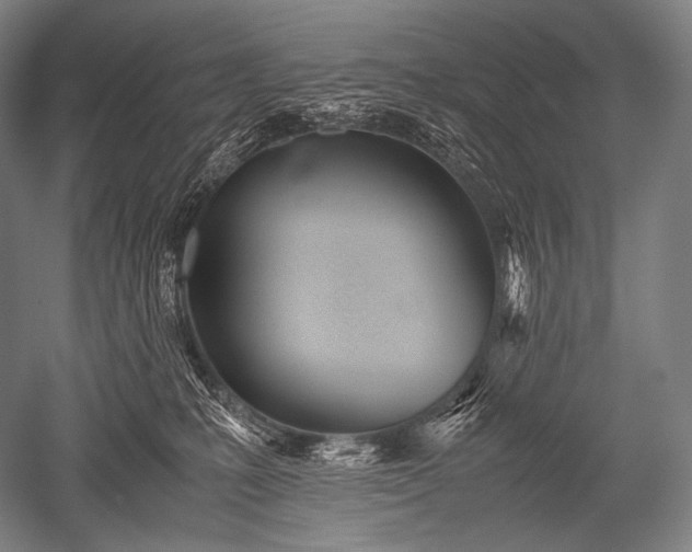 X0000052560231200507081644