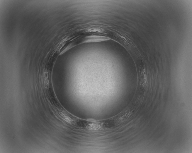 X0000052560232200507081644
