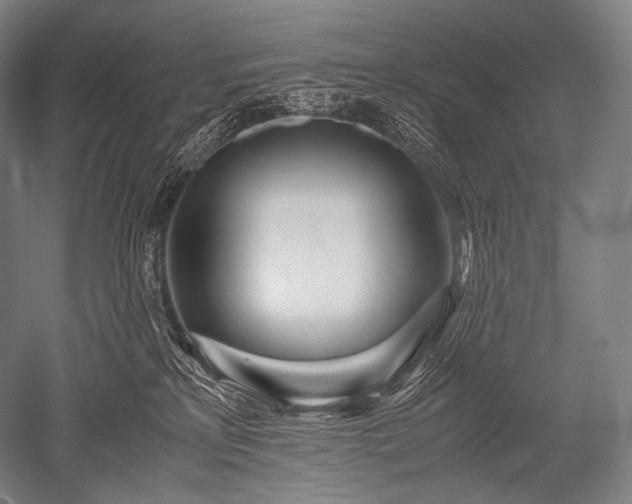 X0000052560233200507081644