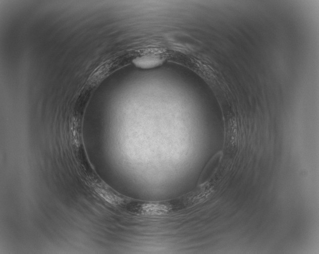 X0000052560234200507081644