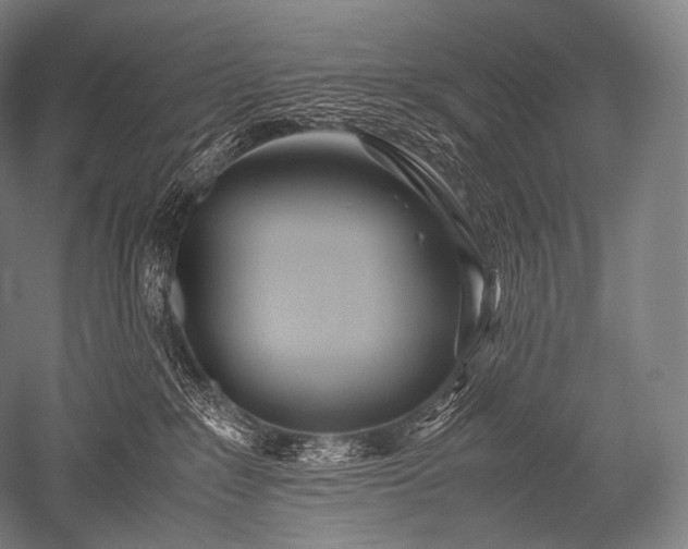 X0000052560235200507081644
